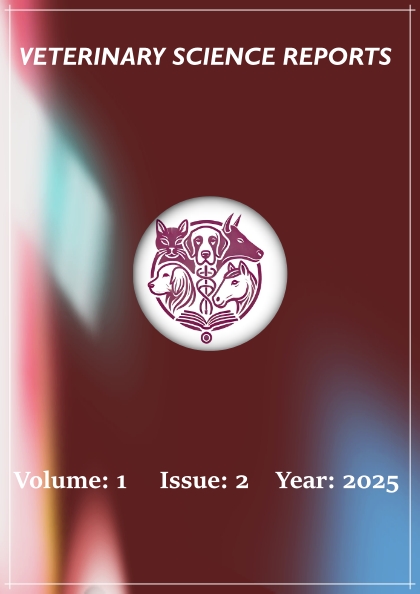 					View Vol. 1 No. 2 (2025)
				