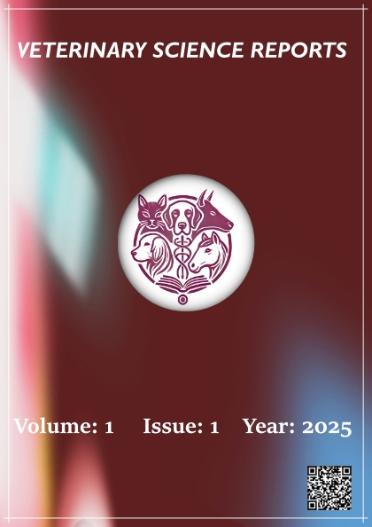 					View Vol. 1 No. 1 (2025)
				